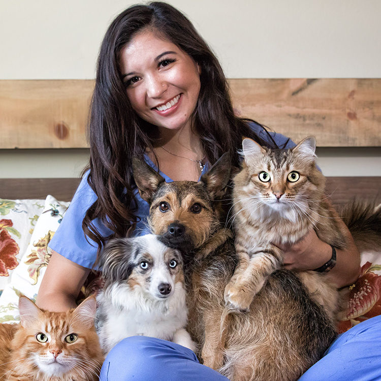 VStone vet sitting with pet